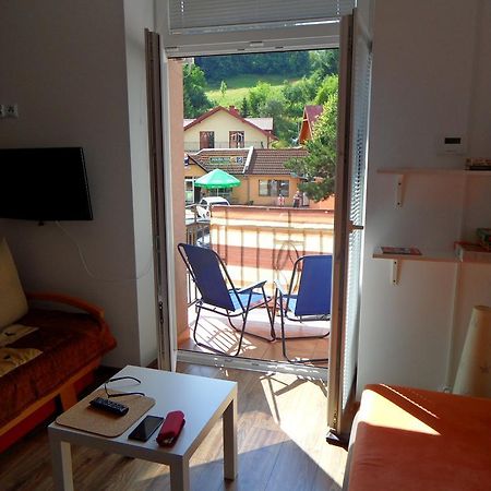 Apartament Kraszewskiego Krynica-Zdrój Exteriör bild
